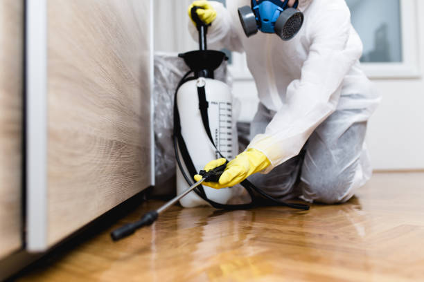 Best Pest Control Near Me in Florida Ridge, FL