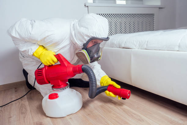 Reliable Florida Ridge, FL Pest Control Solutions