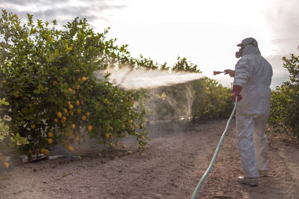 Best Exterminator Services  in Orida Ridge, FL