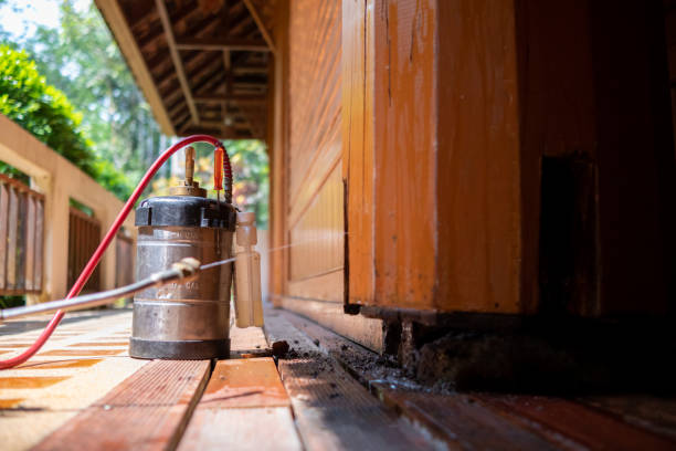Best Best Pest Control Companies  in Orida Ridge, FL