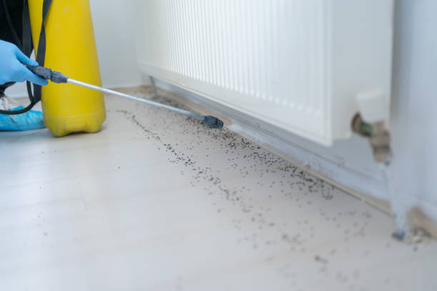 Best Pest Control Near Me  in Orida Ridge, FL